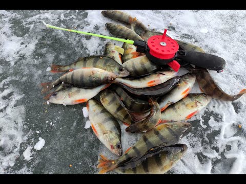 Видео: Открытая вода и лед  Немного неожиданная рыбалка  Бердянское водохранилище 16 01 2022