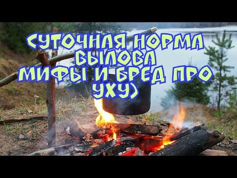 Видео: Суточная норма вылова. РАЗВЕЕМ МИФЫ, РыБаЛкА 2019 по новому,))