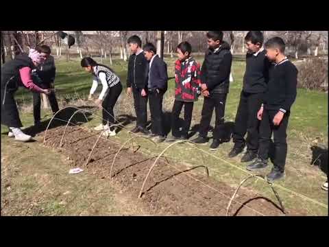 Видео: Биология сабагынан практикалык иш, К.Эрматов ат лицей-жатак мектеп, Кыргызбаева А, Эркинбай кызы С