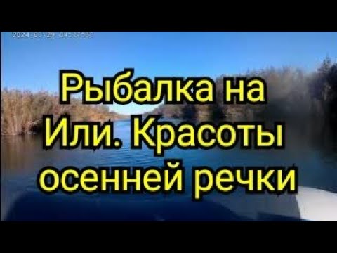 Видео: Рыбалка на Или. Куйган. Красота осенней реки!