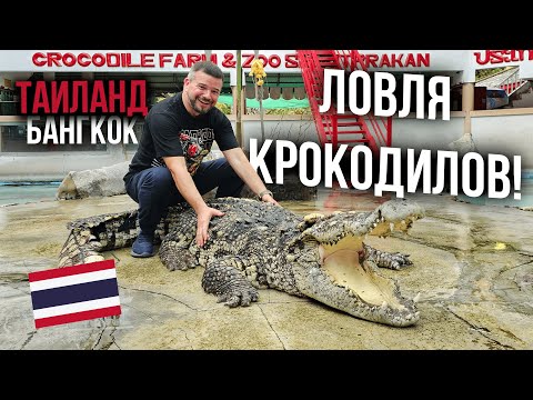 Видео: Ловля крокодилов! Бангкок, Таиланд | 2 Серия