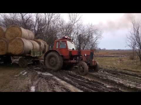 Видео: МТЗ-82 проходимость по грязи с прицепами