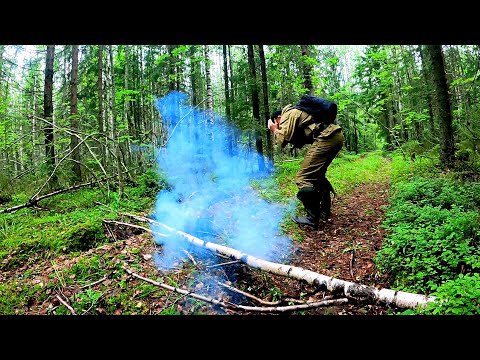 Видео: БЕЗ ВАЛИДОЛА НЕ СМОТРЕТЬ! ГРИБНИК В ШОКЕ ТАКОЙ ОХОТЫ НЕ ОЖИДАЛ! НОВЫЙ ЛЕС ГРИБЫ 2023