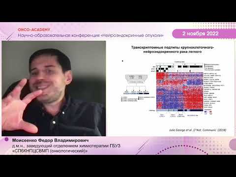 Видео: Мелкоклеточный рак легкого:где граница с НЭР?Особенности терапии высокоагрес.форм нейроэндок.происх.