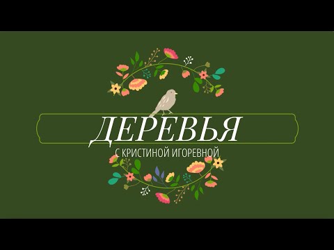 Видео: Деревья