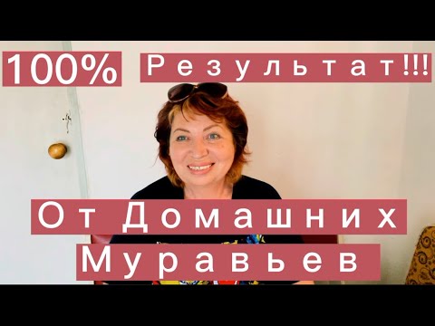 Видео: !Личный Опыт 100% Результат!!!КАК ВЫВЕСТИ ДОМАШНИХ МУРАВЬЕВ Проверенный способ