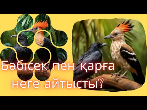 Видео: БӘБІСЕК ПЕН ҚАРҒА НЕГЕ АЙТЫСТЫ?
