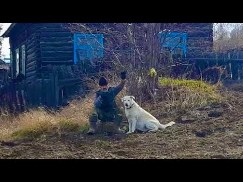 Видео: Как там Отшельник (30 лет одиночества 130 серия)