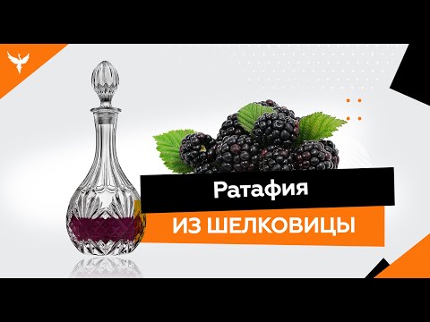 Видео: рДЖ 6: Ратафия из шелковицы