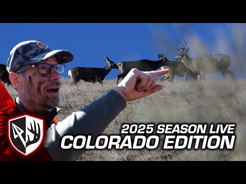 Видео: Самодельный олень-мул из Колорадо | 3-дневная охота с луком от Тодда