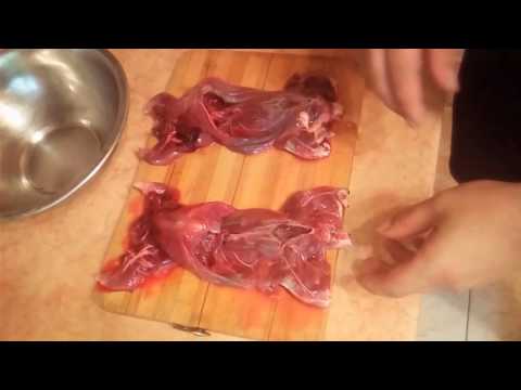 Видео: Рецепт приготовления ондатры (мускусной крысы)