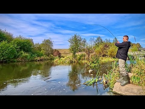 Видео: Рыбалка с ультралайтом осенью 2025. Окунь на танту и полярис