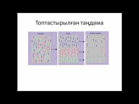 Видео: Жалпы статистиканың элементтері 1 тарау 1 сабақ