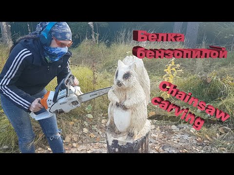 Видео: Резьба по дереву бензопилой/Карвинг бензопилой/Белка#chainsawcarving  Wooden Squirrel#diy