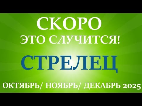Видео: СТРЕЛЕЦ ♐таро прогноз на ОКТЯБРЬ, НОЯБРЬ, ДЕКАБРЬ 2025🌷 4 триместр года! Главные события периода!