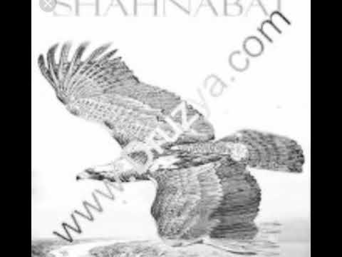 Видео: ГР  ШАХНАБАТ   1995 г       НАЗИЛЕ