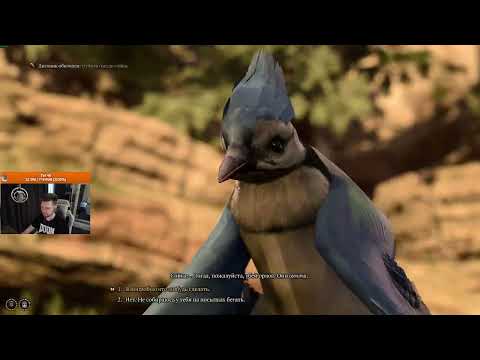 Видео: Baldur’s Gate 3 solo honor AMP+REL mod часть 3