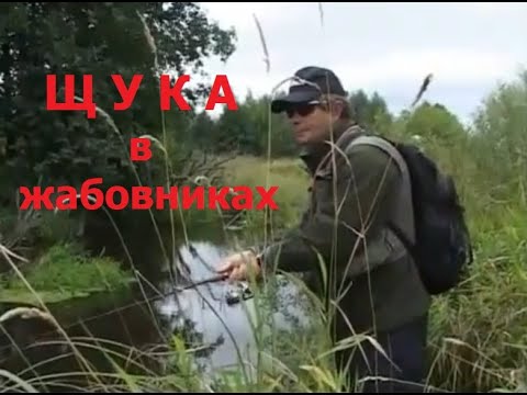 Видео: Константин Кузьмин. Щука в жабовниках, 2009 год.