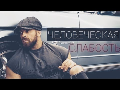 Видео: Диалог Artemus Dolgin