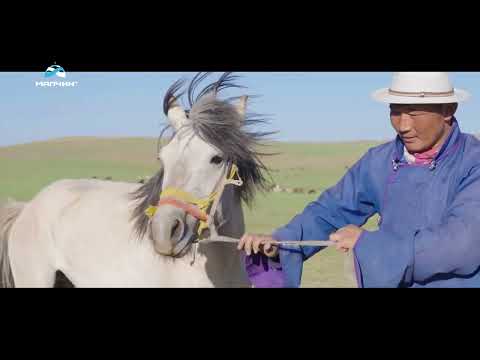 Видео: [ Өв ] нэвтрүүлэг Азарга тавих ёсны тухай
