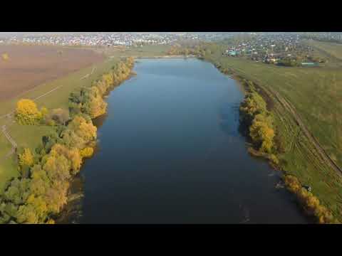 Видео: Где-то в пригороде Барнаула/Осенняя музыка природы/В первых числах октября.