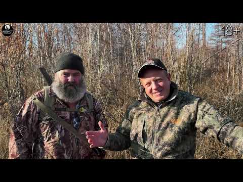 Видео: Добыли Трофейного Лося и 5 Медведей на Камчатке! Лайки показали хорошую работу!
