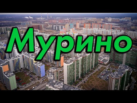 Видео: Над Мурино на голубе