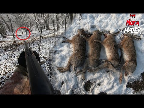 Видео: ОХОТА НА ЗАЙЦА. Сезон 2020 - 2021. Седьмой выход. "БОЙНЯ В ЛЕСОПОЛОСЕ" или "САМЫЙ УДАЧНЫЙ ВЫХОД".