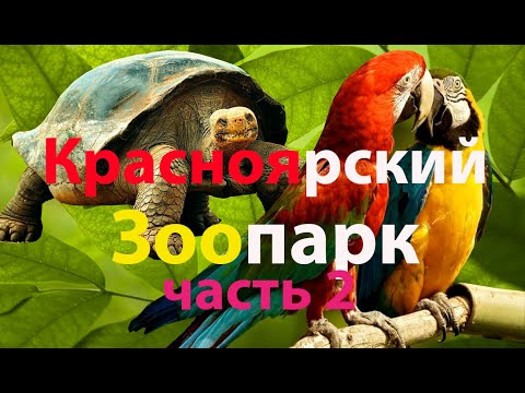 Видео: Красноярский зоопарк. Часть 2