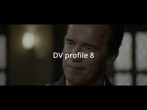 Видео: Гибридные Dolby Vision релизы фильмов. Смотреть или удалить. Hybrid Dolby vision remux