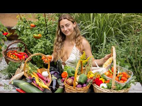 Видео: Сбор и хранение выращенных мной овощей