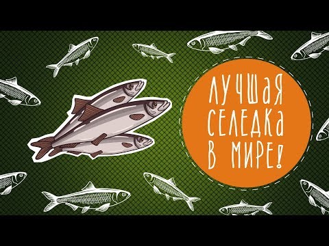 Видео: Лучшая селёдка в мире!