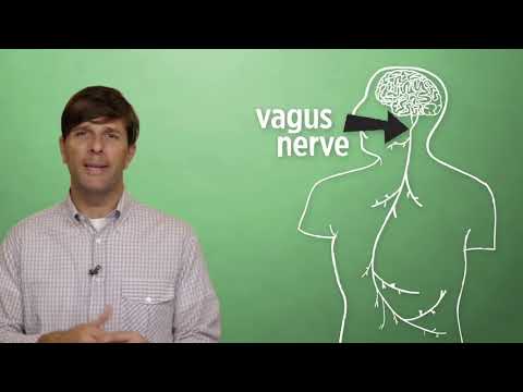 Видео: Почему людям становится плохо при виде крови