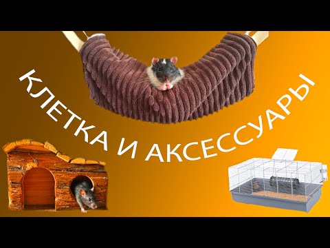 Видео: Клетка и аксессуары. Как выбрать клетку?