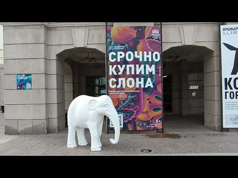 Видео: Тюмень 14 августа 2025