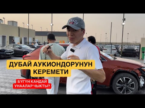Видео: Дубайда аукциону бүгүн баалар кандай? Өмүрбек Абдыкалыков +996555191131 ватсап