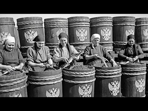 Видео: «Рыбный мусор»: как икра осетра стала из корма для собак деликатесом
