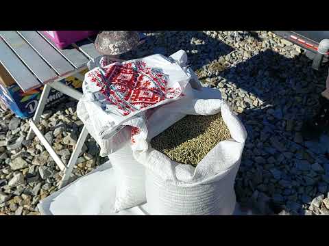 Видео: Огляд Ринку тварин! #тварини #село #життя 
