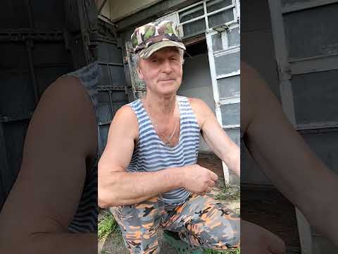 Видео: Кормление голубей