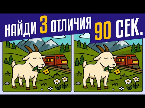 Видео: 🕵️‍♀️ Найди 3 Отличия | 🧩 Проверь наблюдательность! ⏰ | Quiz Portal #5