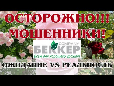 Видео: Реальный отзыв. Интернет магазин БЕККЕР! bekker.kz