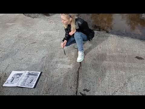 Видео: Что посмотреть в Карелии? Беломорские Петроглифы. Залавруга. Бесовы следки. Отлив на Белом море.