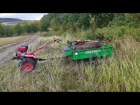 Видео: четыре Куба