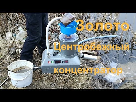 Видео: Золото в камнях. Извлечение концентратором. Gold in rocks - centrifugal concentrator.