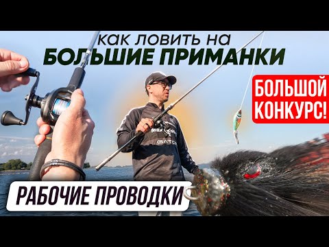 Видео: Как ловить на большие приманки. Правильные проводки | Серия 5
