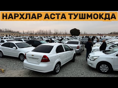 Видео: БУГУН САВДО АВЖИГА ЧИКАДИ🔥 16 - Ноябрь Хоразм Машина Бозори. Onix 128 МЛН СУМ😱