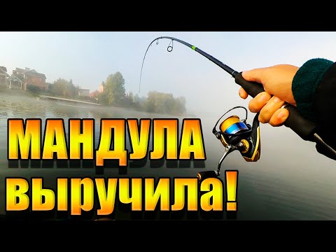 Видео: Мандула  выручила! Рыбалка | Приманка на судака и щуку | Спиннинг