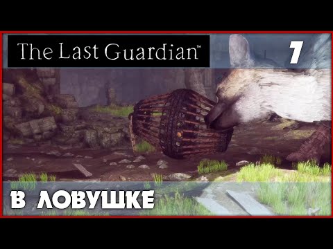 Видео: Как хомяк в клетке [The Last Guardian] PS5 #7