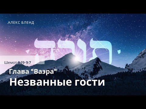 Видео: Недельная глава Ваэра. Незванные гости. Шемот 8:16-9:7