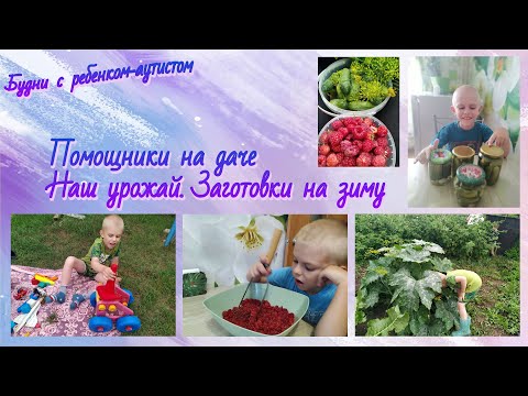 Видео: Будни с ребенком-аутистом // Помощники на даче // Заготовки на зиму